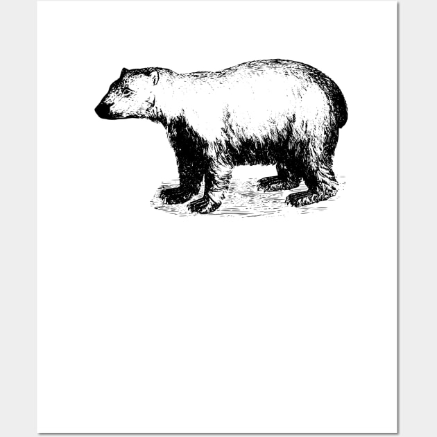 Polar Bear Wall Art by scdesigns